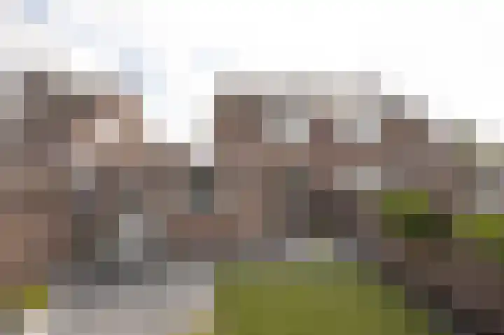de Gagelrijzen 16 St. Willebrord thumbnail 31
