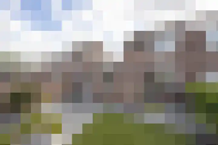 de Gagelrijzen 16 St. Willebrord thumbnail 32