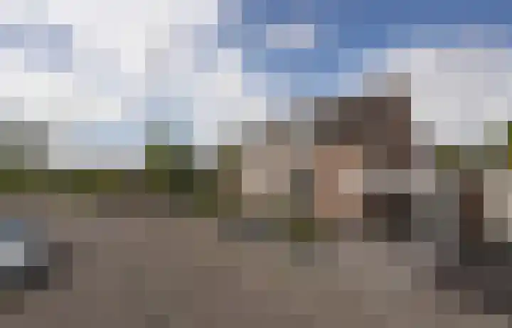 de Gagelrijzen 16 St. Willebrord thumbnail 34