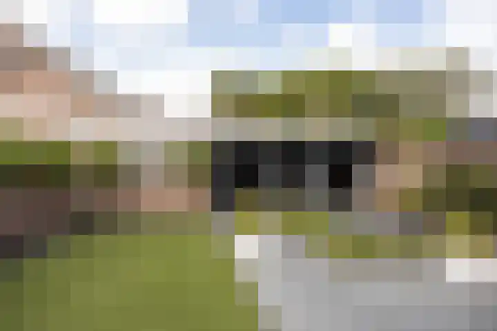 de Gagelrijzen 16 St. Willebrord thumbnail 4