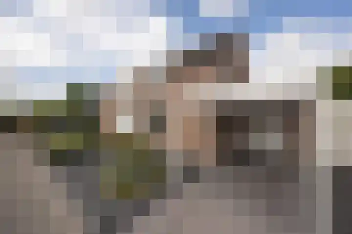 de Gagelrijzen 16 St. Willebrord thumbnail 5