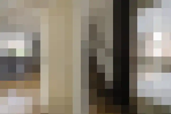 de Gagelrijzen 16 St. Willebrord thumbnail 6
