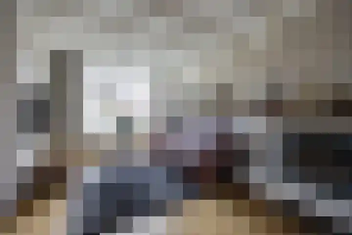 de Gagelrijzen 16 St. Willebrord thumbnail 8
