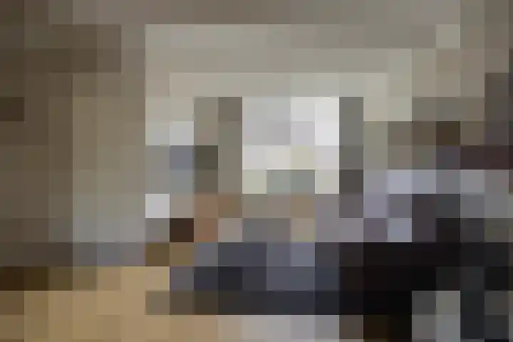 de Gagelrijzen 16 St. Willebrord thumbnail 9