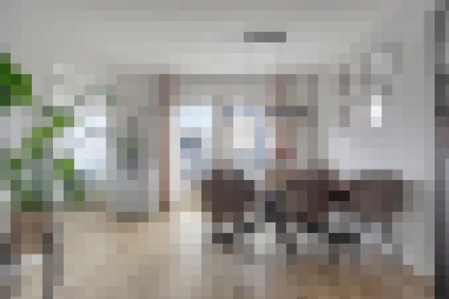 de Gagelrijzen 22 St. Willebrord thumbnail 11