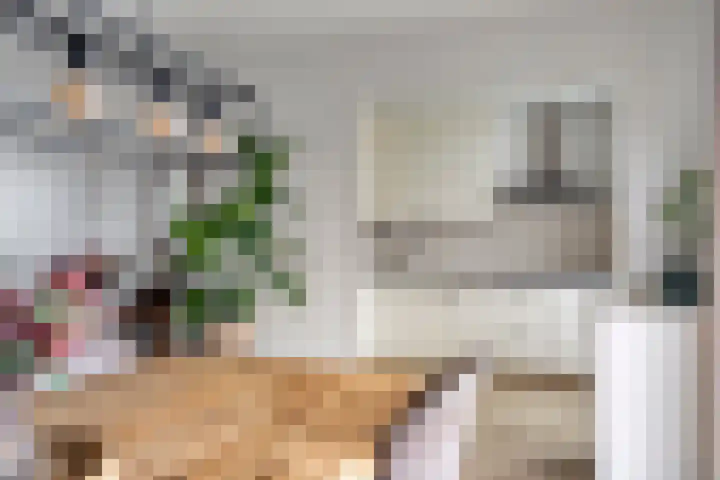 de Gagelrijzen 22 St. Willebrord thumbnail 13