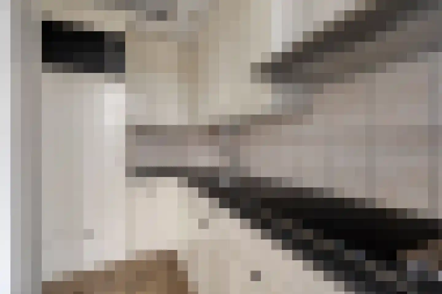 de Gagelrijzen 22 St. Willebrord thumbnail 15