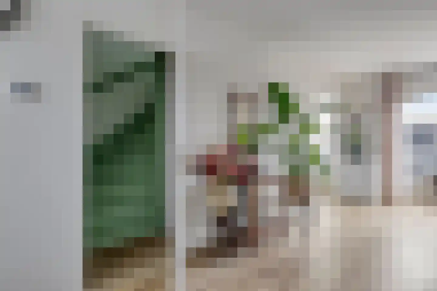 de Gagelrijzen 22 St. Willebrord thumbnail 17