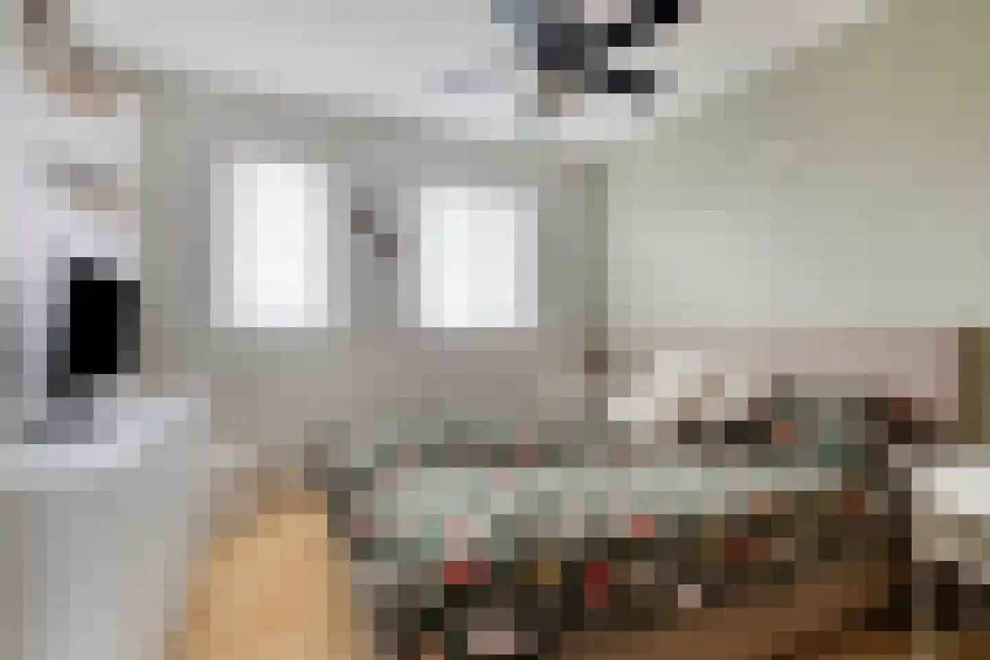 de Gagelrijzen 22 St. Willebrord thumbnail 19