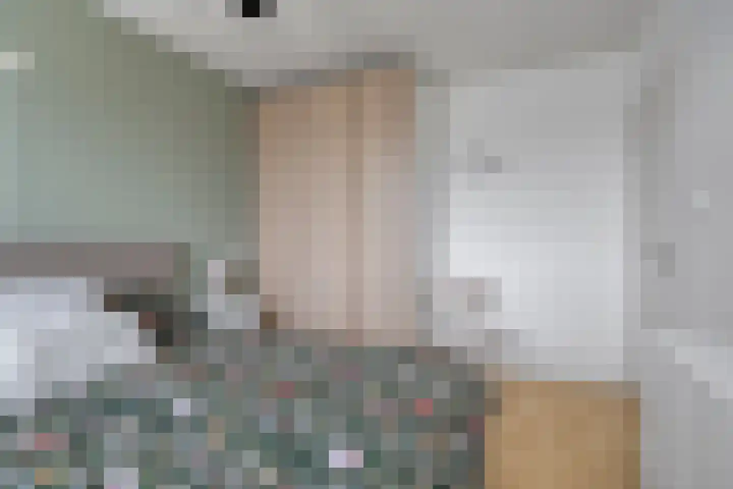 de Gagelrijzen 22 St. Willebrord thumbnail 20