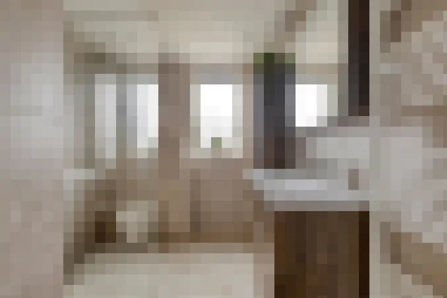 de Gagelrijzen 22 St. Willebrord thumbnail 21