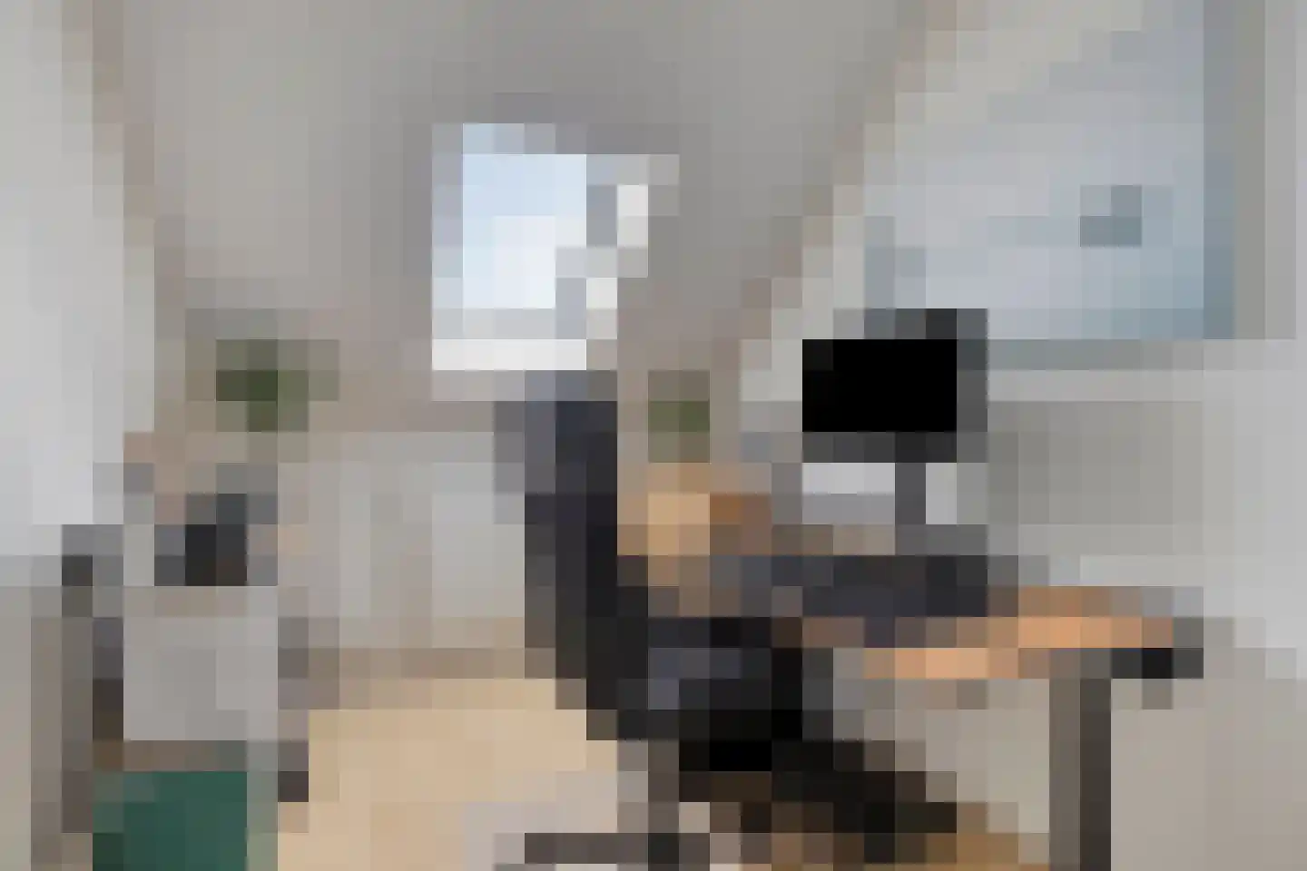 de Gagelrijzen 22 St. Willebrord thumbnail 25