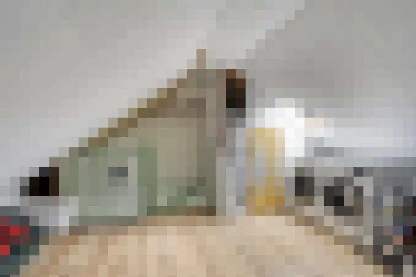 de Gagelrijzen 22 St. Willebrord thumbnail 26