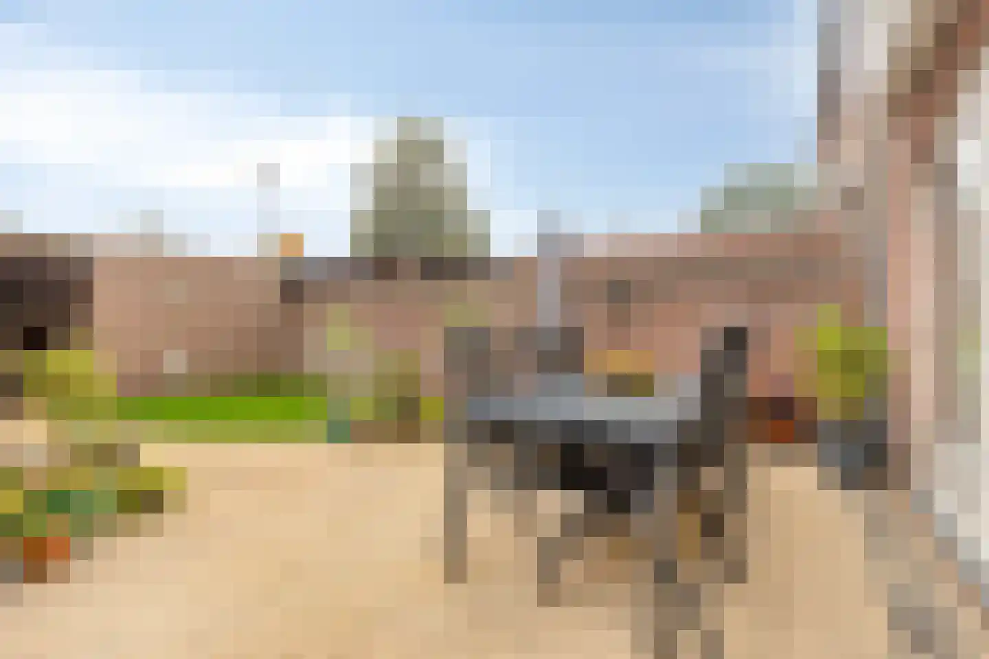 de Gagelrijzen 22 St. Willebrord thumbnail 28