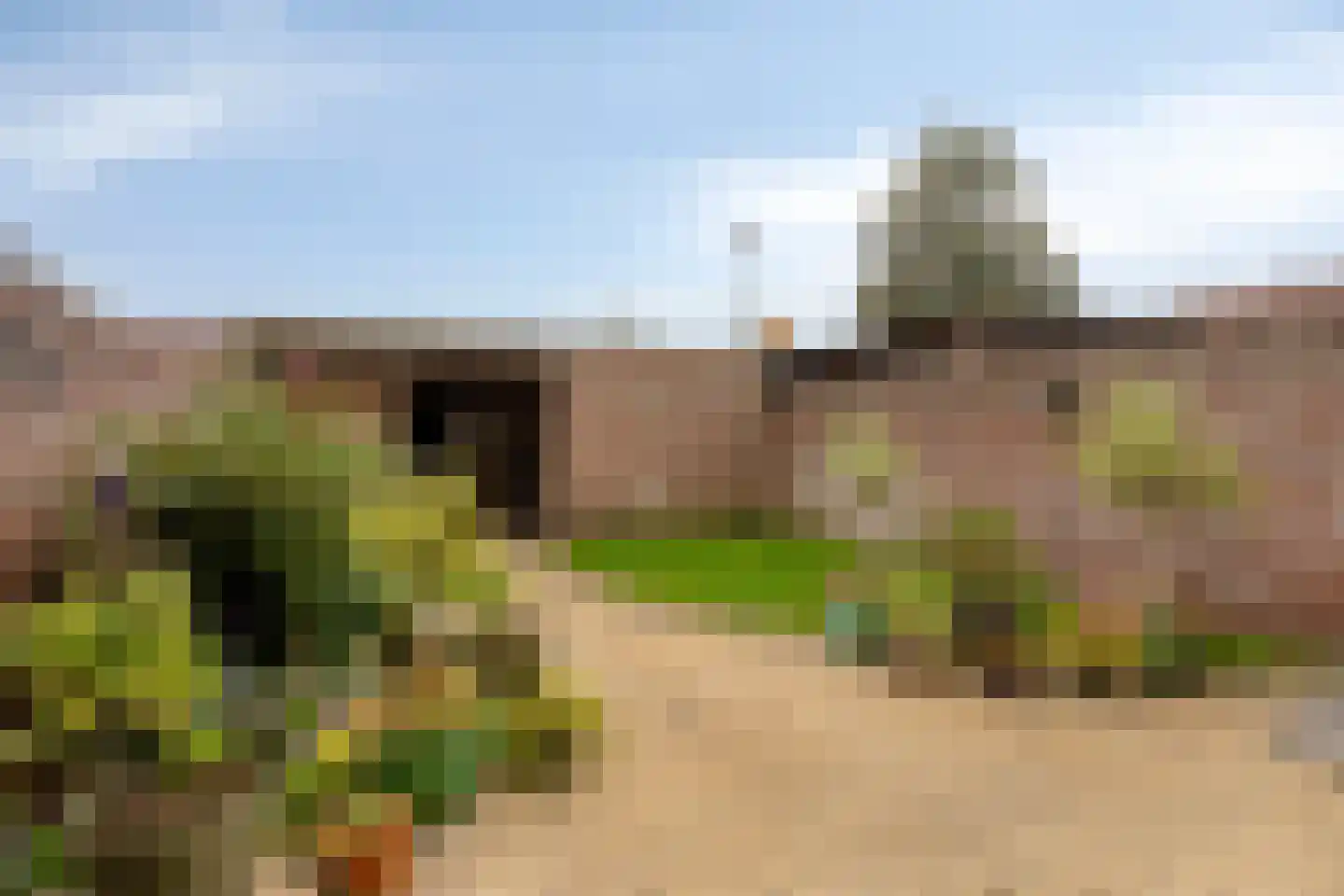 de Gagelrijzen 22 St. Willebrord thumbnail 29