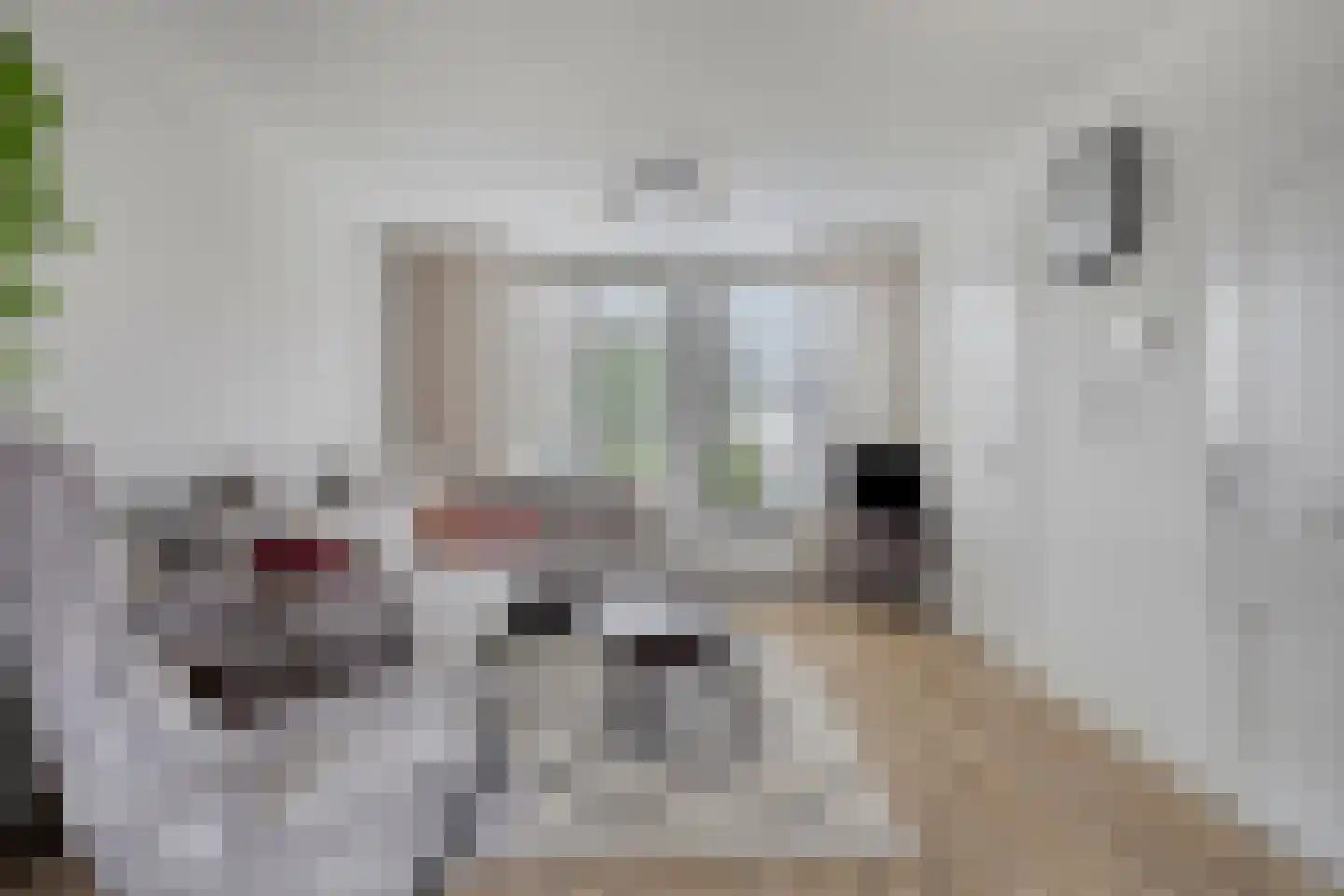 de Gagelrijzen 22 St. Willebrord thumbnail 8