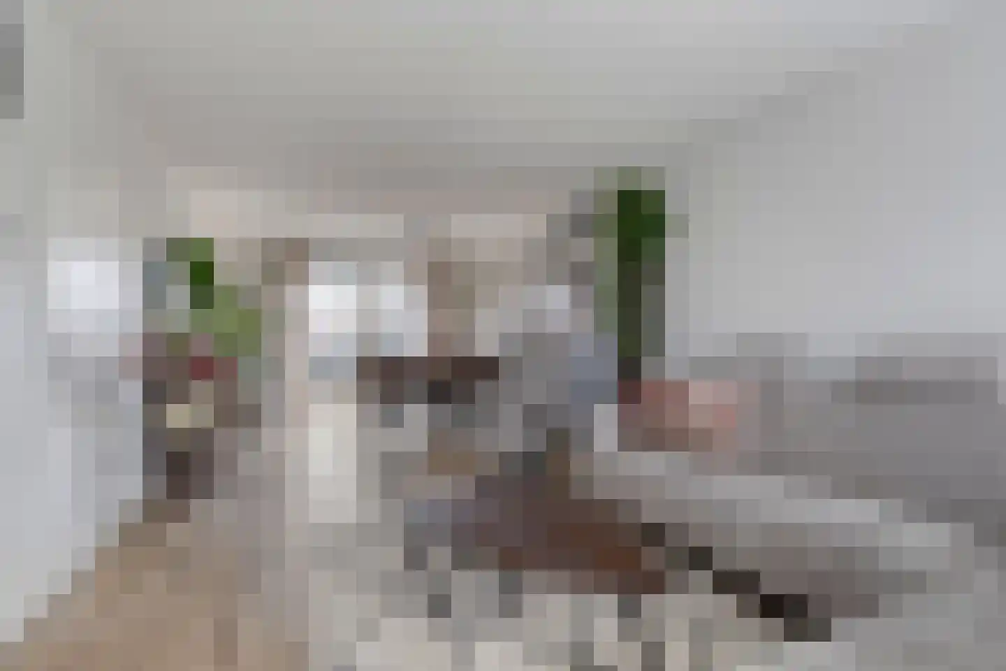de Gagelrijzen 22 St. Willebrord thumbnail 9