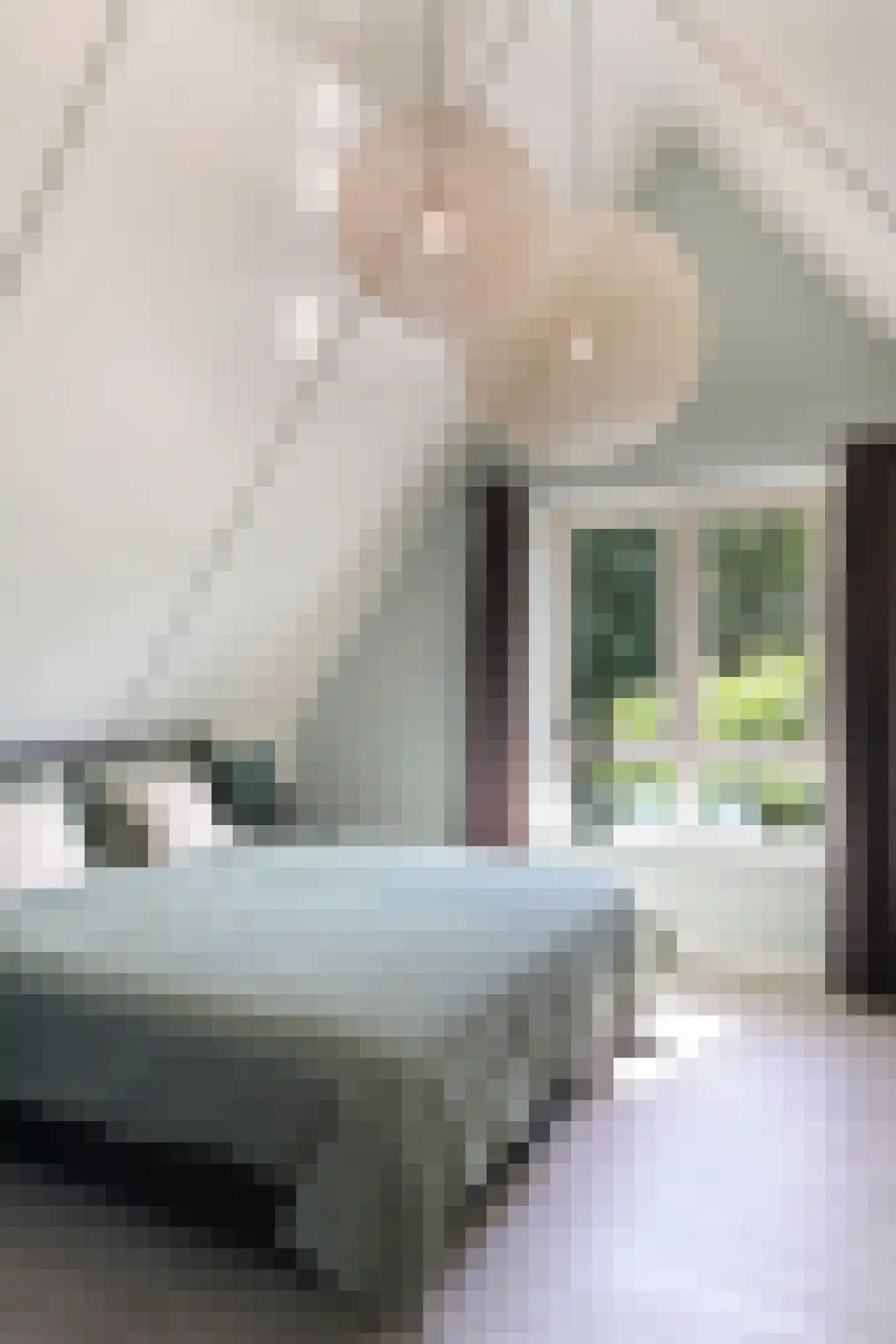 De Gaikhorst 197 Warnsveld thumbnail 27