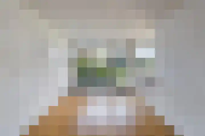 De Gaikhorst 38 Warnsveld thumbnail 12