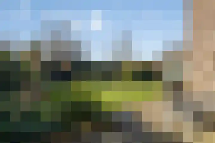 De Gaikhorst 38 Warnsveld thumbnail 37
