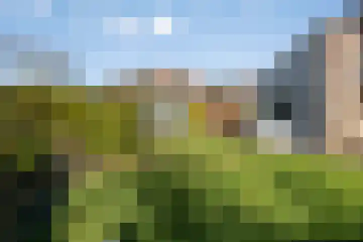 De Gaikhorst 38 Warnsveld thumbnail 38