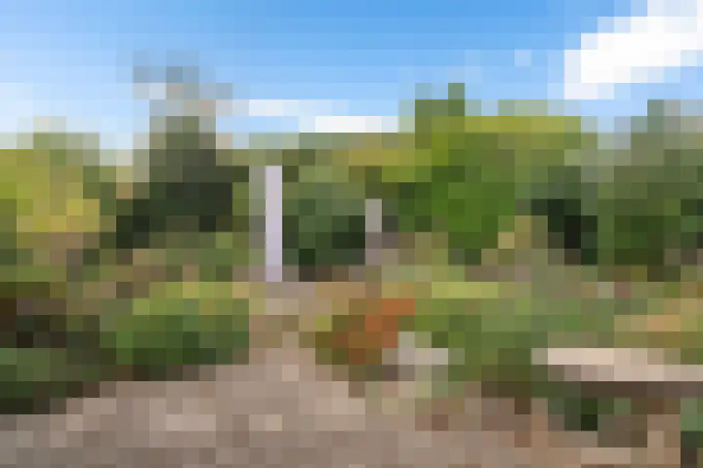De Gaikhorst 50 Warnsveld thumbnail 36