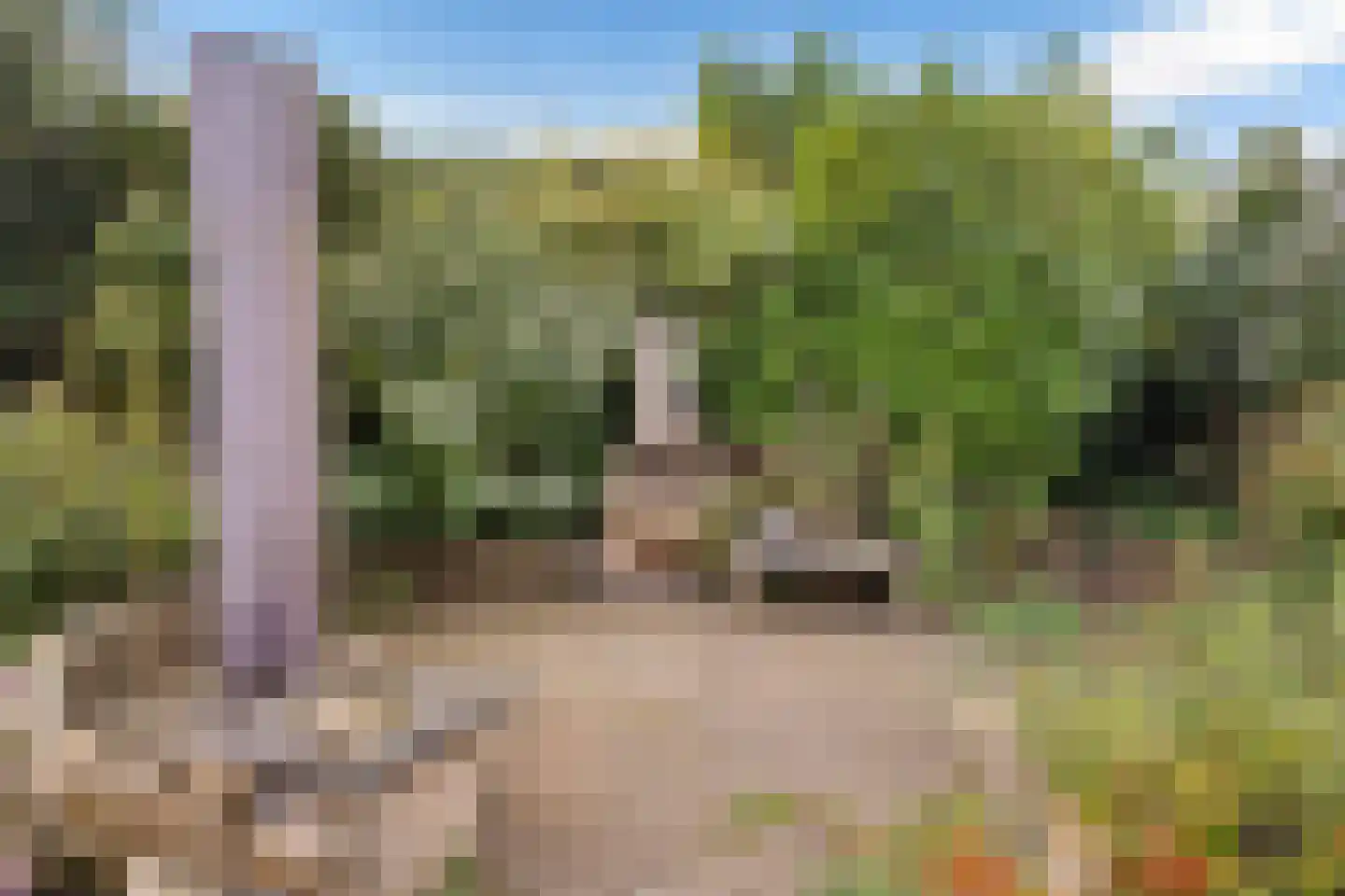 De Gaikhorst 50 Warnsveld thumbnail 37