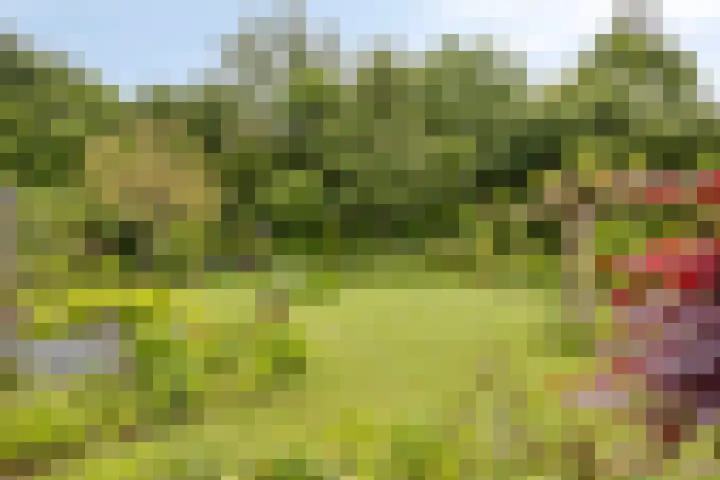 De Gaikhorst 76 Warnsveld foto 3