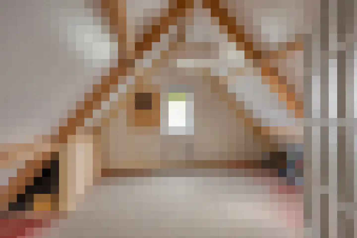 De Gaikhorst 76 Warnsveld thumbnail 37