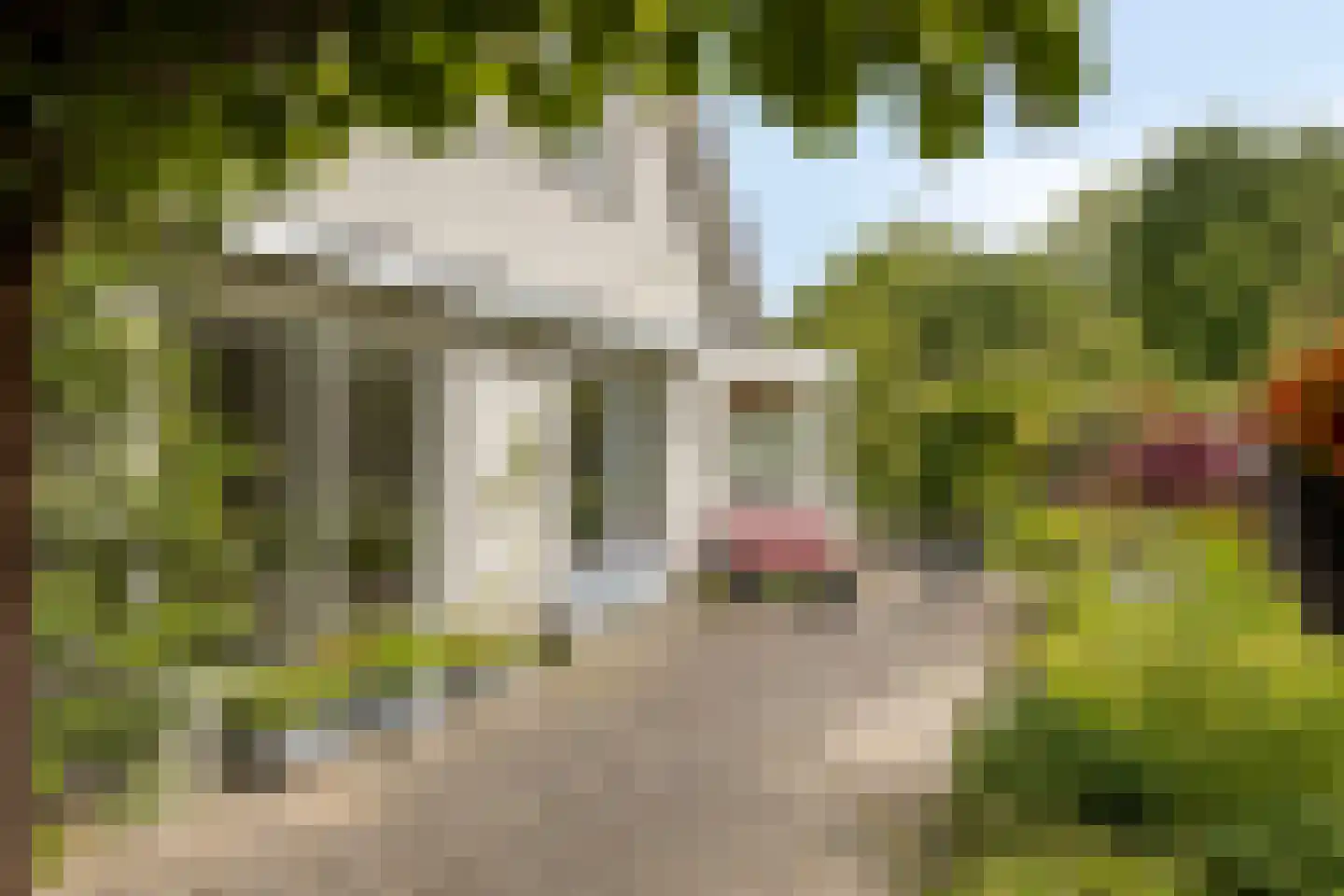 De Gaikhorst 76 Warnsveld thumbnail 38