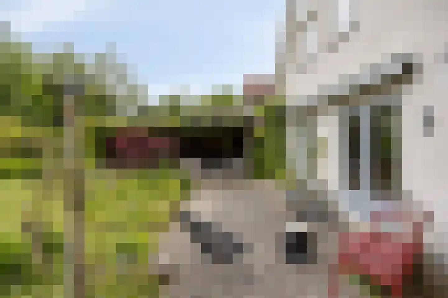 De Gaikhorst 76 Warnsveld thumbnail 39