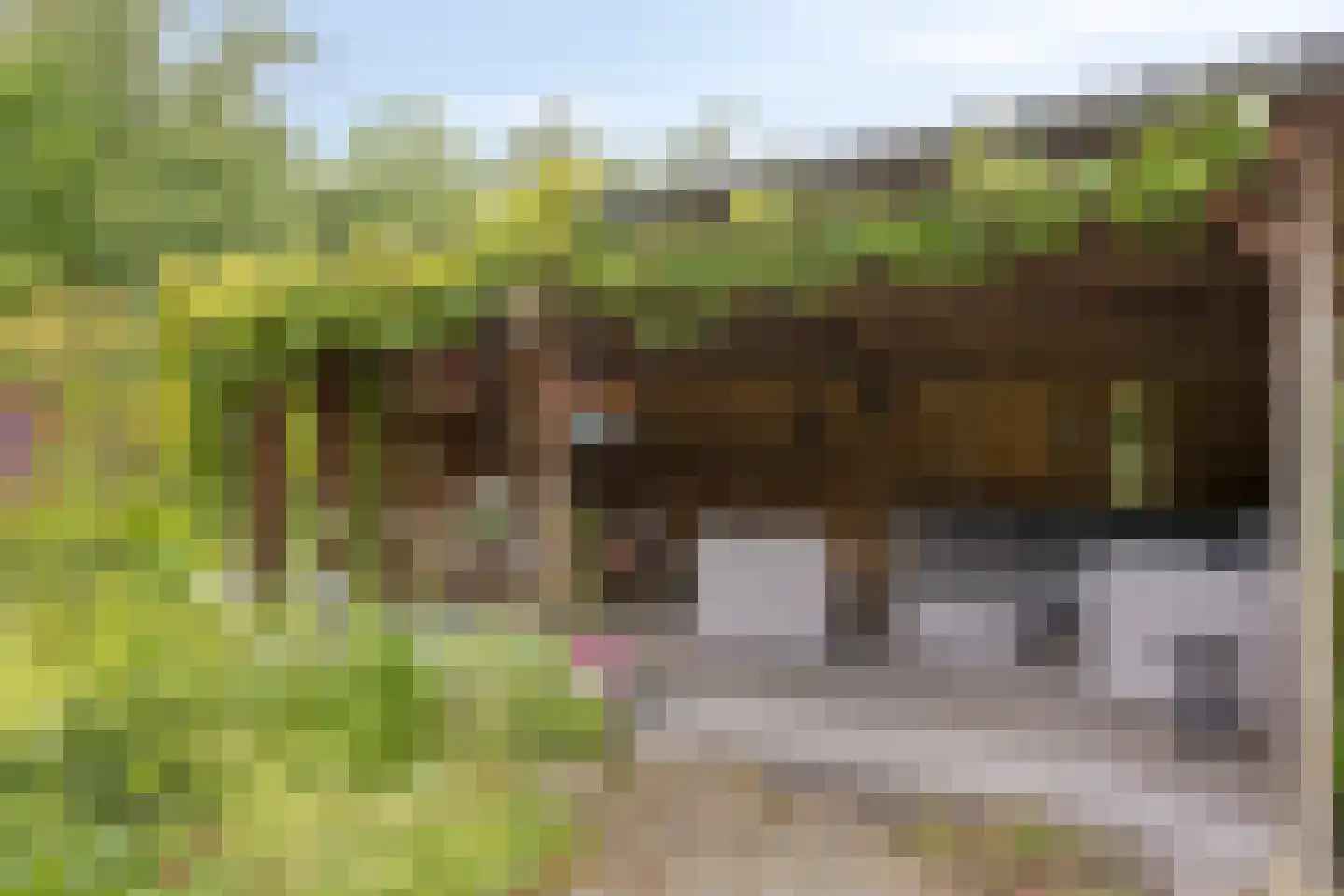 De Gaikhorst 76 Warnsveld thumbnail 4