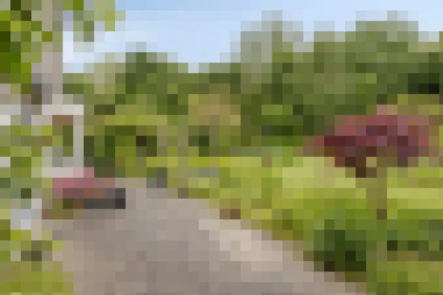 De Gaikhorst 76 Warnsveld thumbnail 40