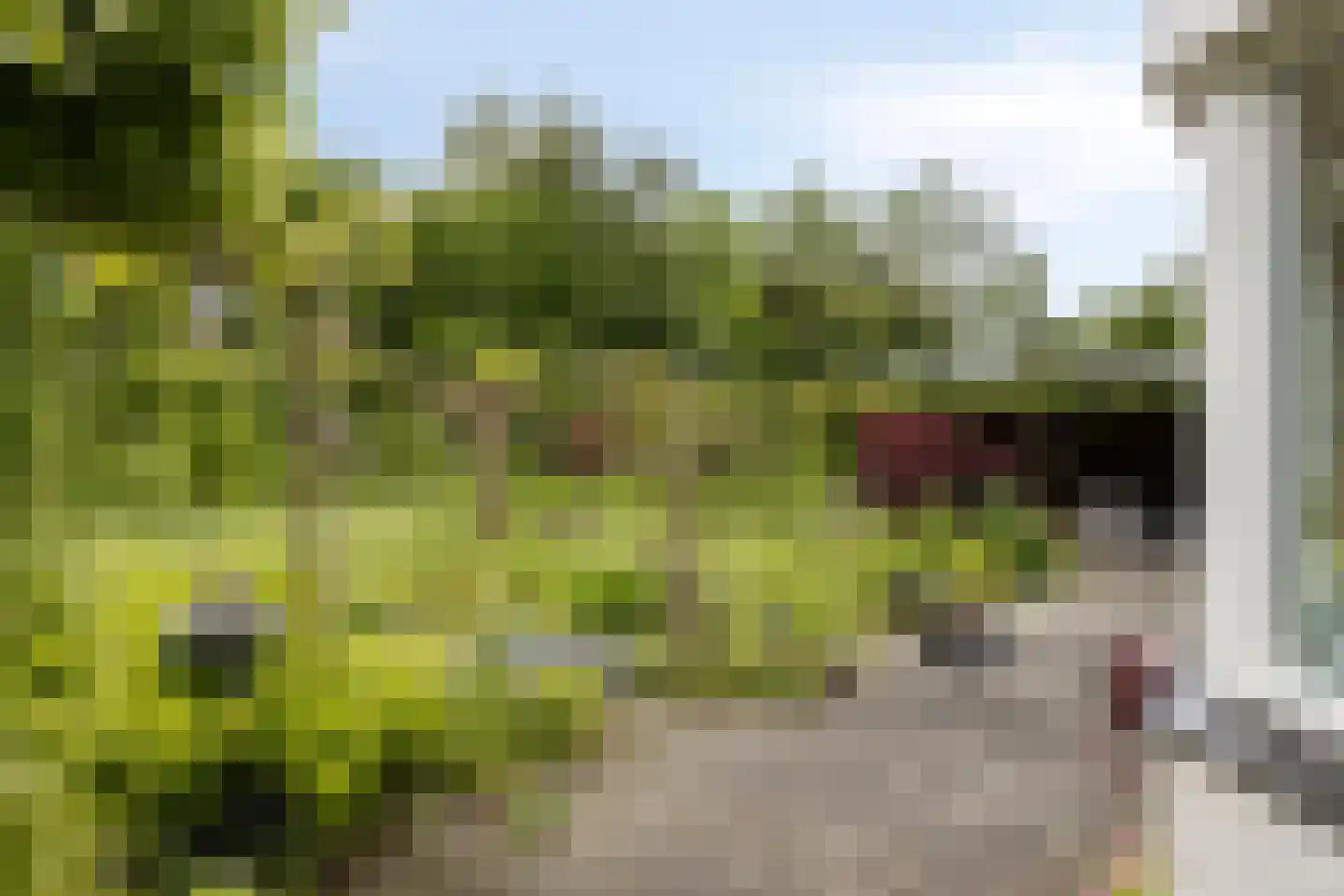 De Gaikhorst 76 Warnsveld thumbnail 41