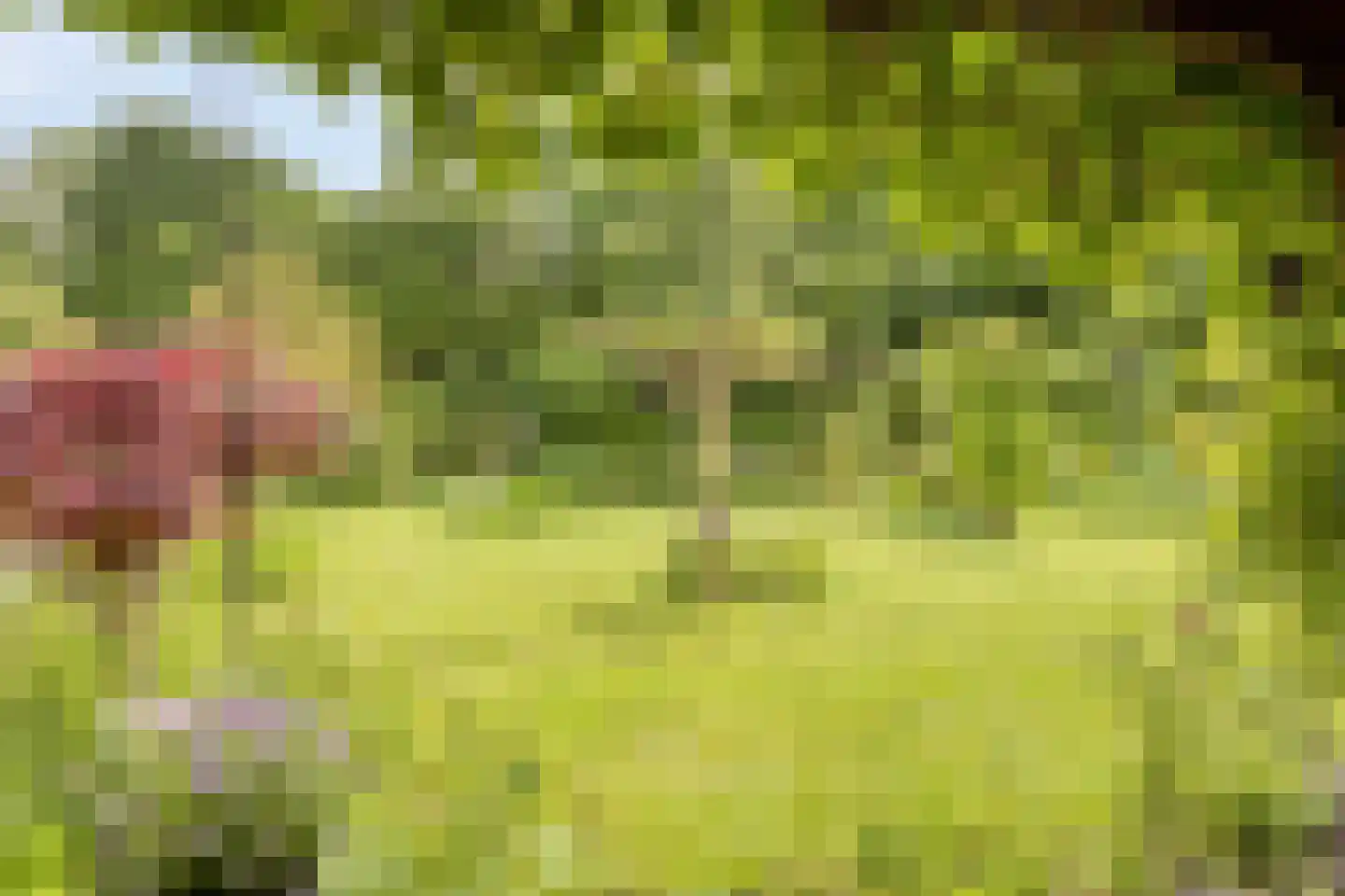 De Gaikhorst 76 Warnsveld thumbnail 42
