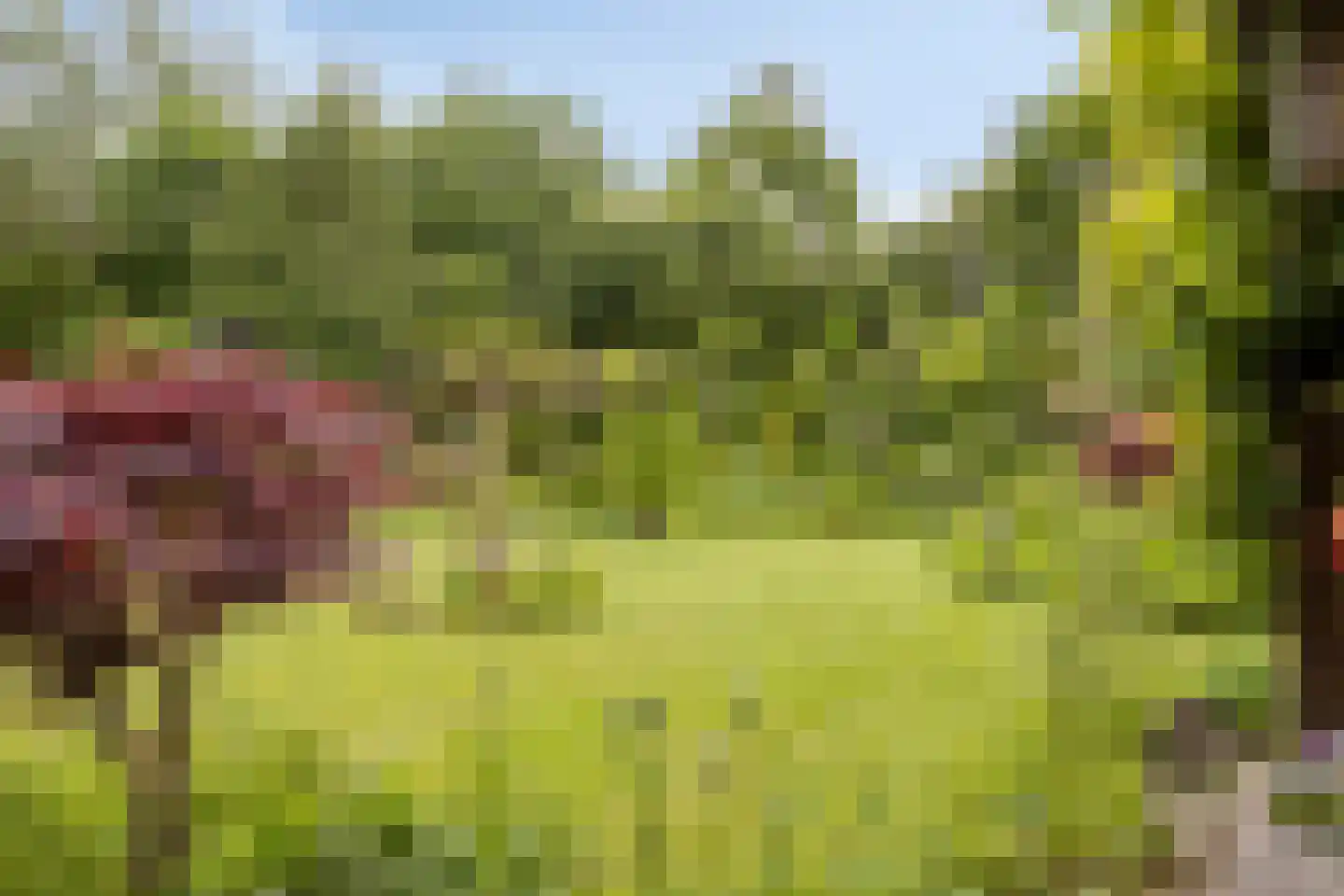 De Gaikhorst 76 Warnsveld thumbnail 43