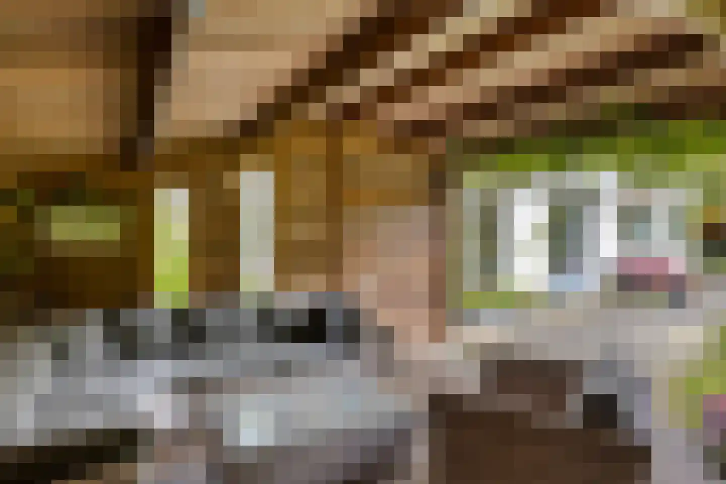 De Gaikhorst 76 Warnsveld thumbnail 47