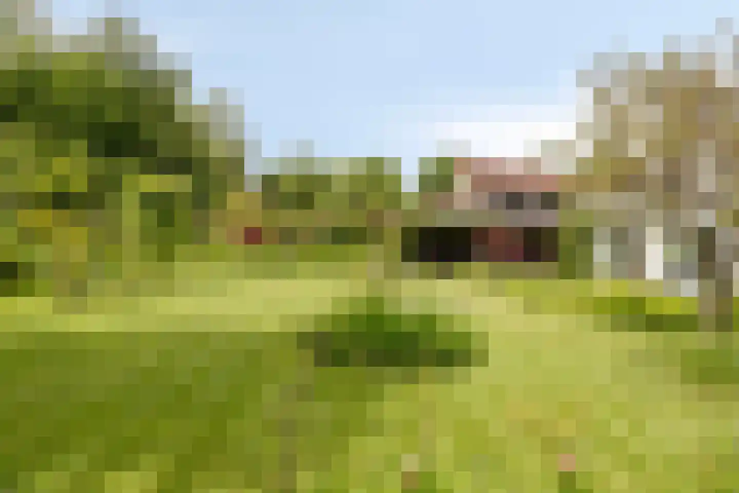De Gaikhorst 76 Warnsveld thumbnail 49