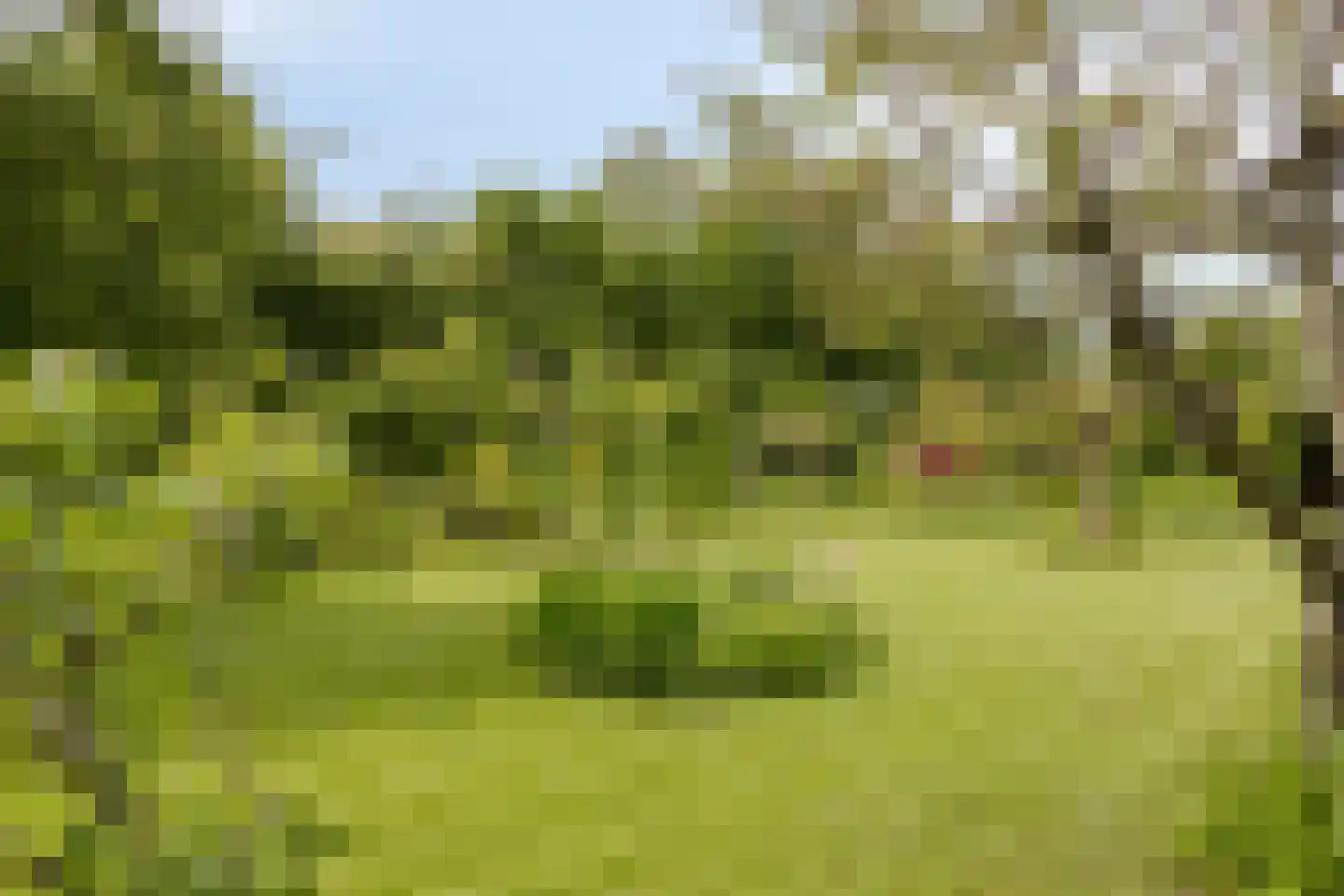 De Gaikhorst 76 Warnsveld thumbnail 51
