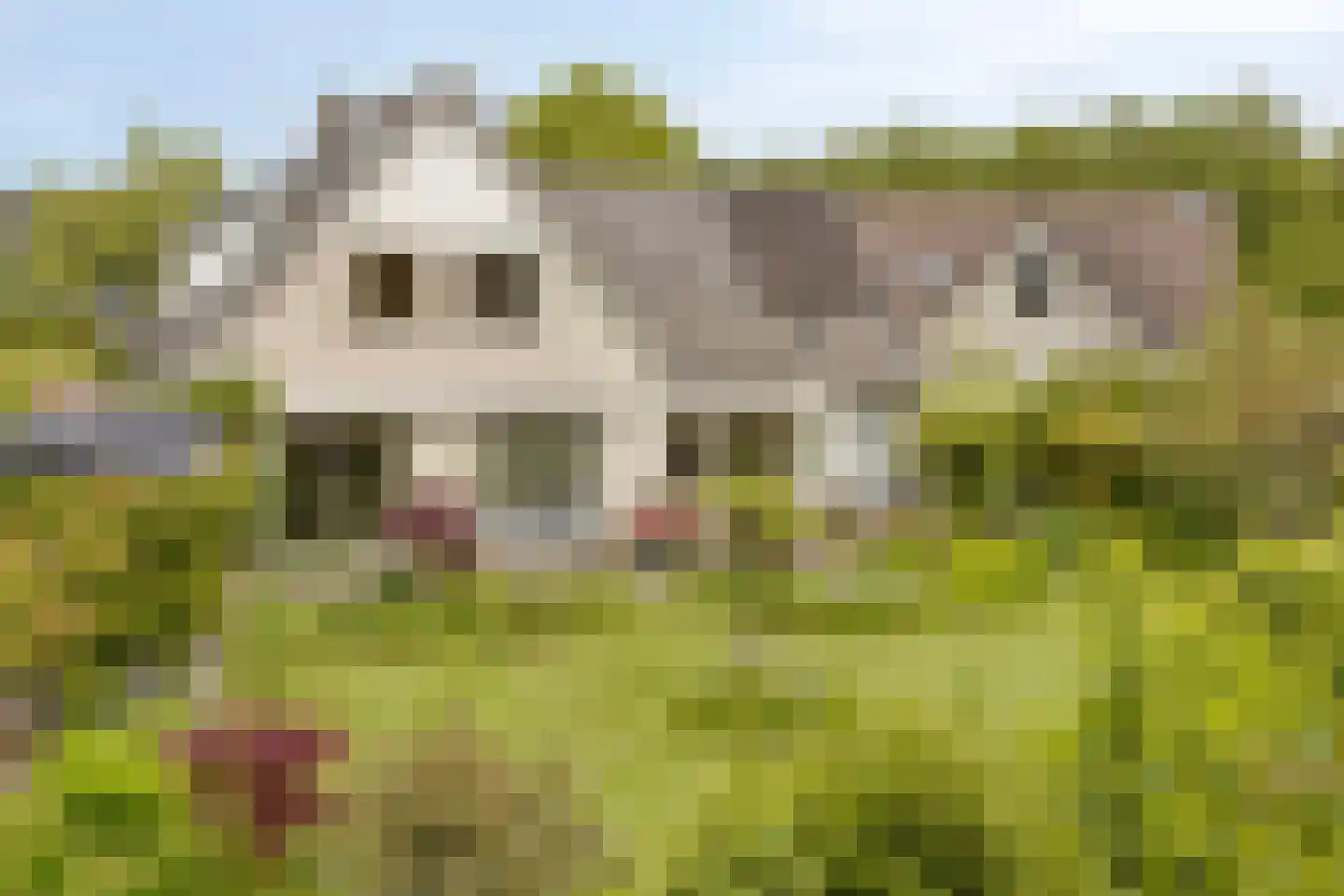 De Gaikhorst 76 Warnsveld thumbnail 53