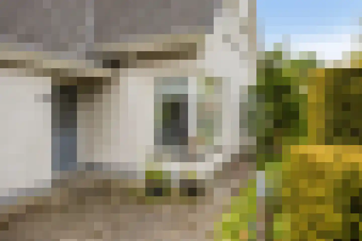 De Gaikhorst 76 Warnsveld thumbnail 58