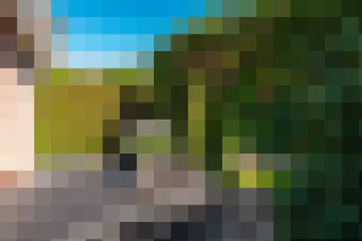 de Galei 10 Baarn thumbnail 10