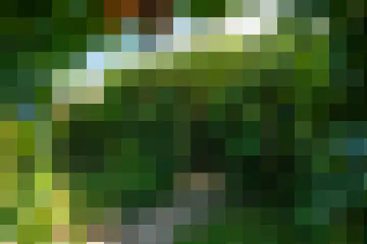 de Galei 10 Baarn thumbnail 11
