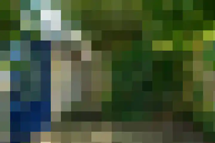 de Galei 10 Baarn thumbnail 12