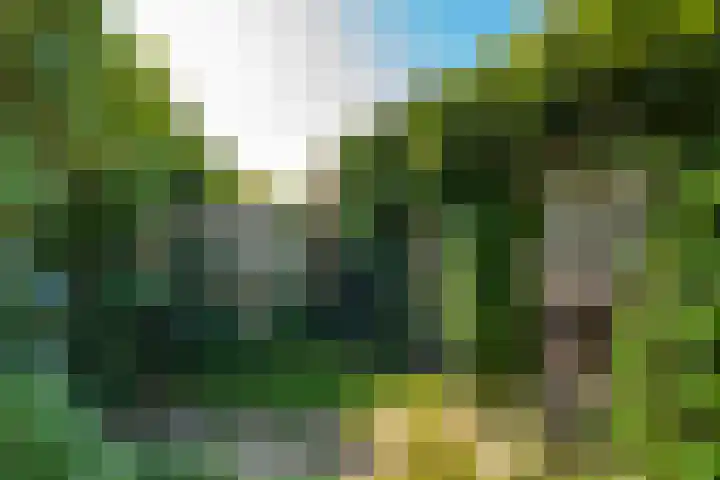 de Galei 10 Baarn thumbnail 13