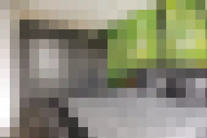 De Galjoen 20 Dinteloord thumbnail 10