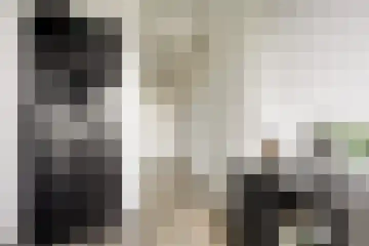 De Galjoen 20 Dinteloord thumbnail 13
