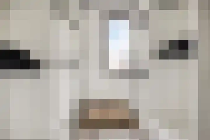 De Galjoen 20 Dinteloord thumbnail 14