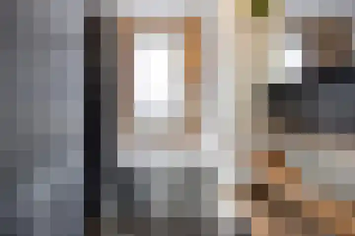 De Galjoen 20 Dinteloord thumbnail 16