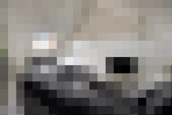 De Galjoen 20 Dinteloord thumbnail 18